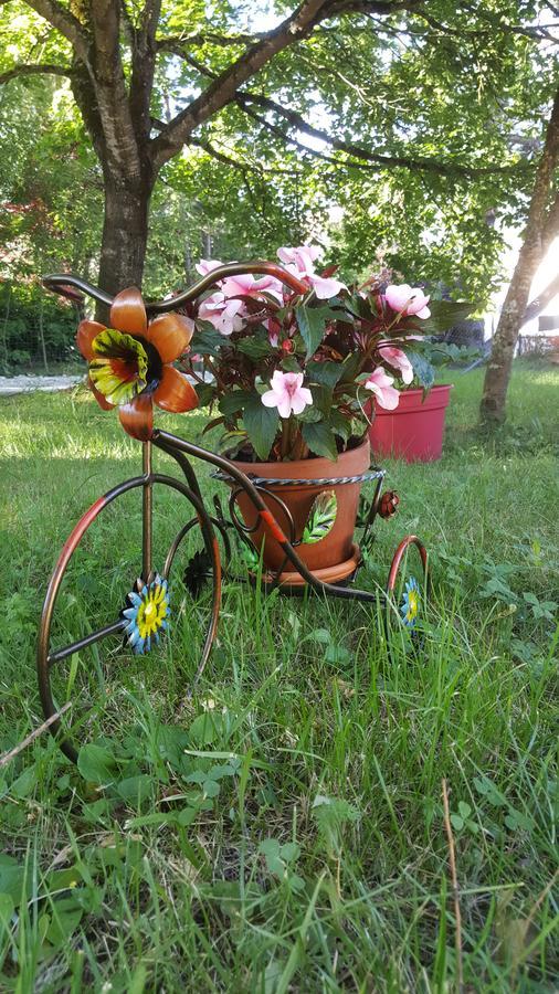 Le Saule Reveur Bed & Breakfast Die Ngoại thất bức ảnh
